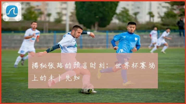 揭秘张路的预言时刻:世界杯赛场上的未卜先知