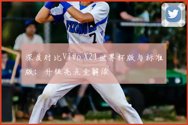 深度对比Vivo X21世界杯版与标准版：升级亮点全解读