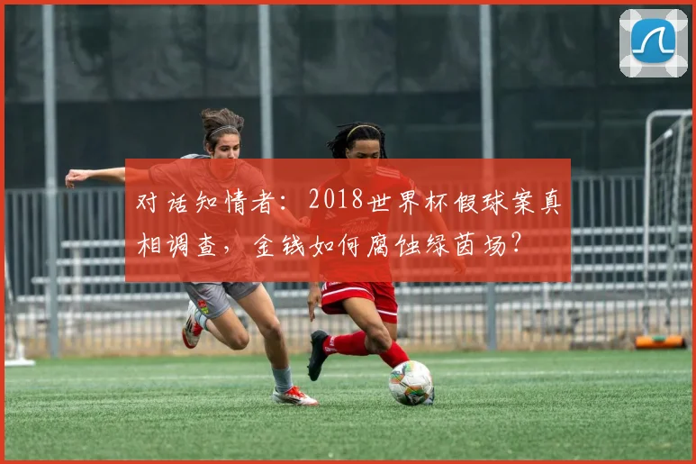 对话知情者：2018世界杯假球案真相调查，金钱如何腐蚀绿茵场？